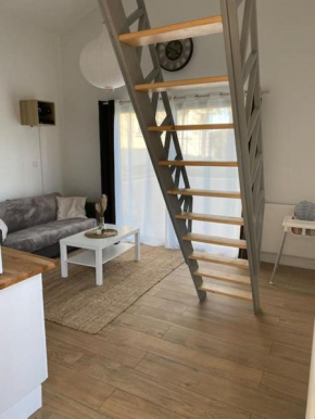Logement avec mezzanine